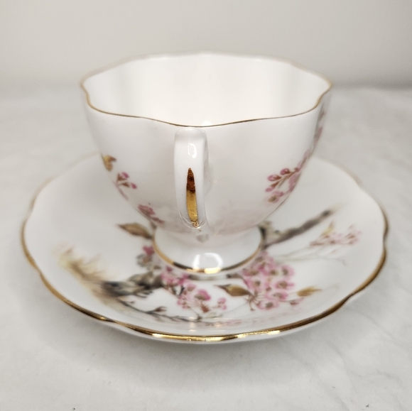 Queen Anne Floral Teacup & Saucer Set - Picture 5 of 11